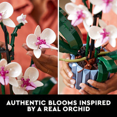 Artificial Orchid Plant Building Set Flowers 10311 Home Decor Adults