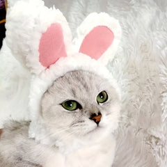 Plush Cat Headgear with Bunny Ears for Pet Cosplay