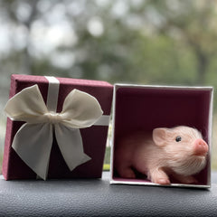 5 Inch Soft Silicone Reborn Doll Pig Mini Full Body Realistic Animal Doll