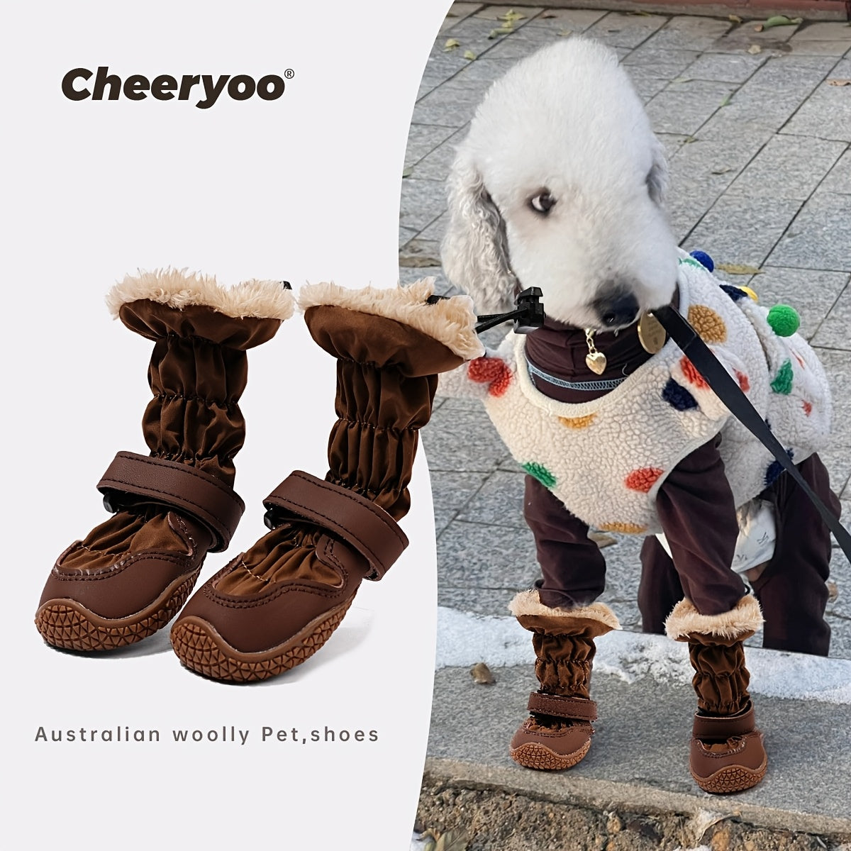 img_4681869