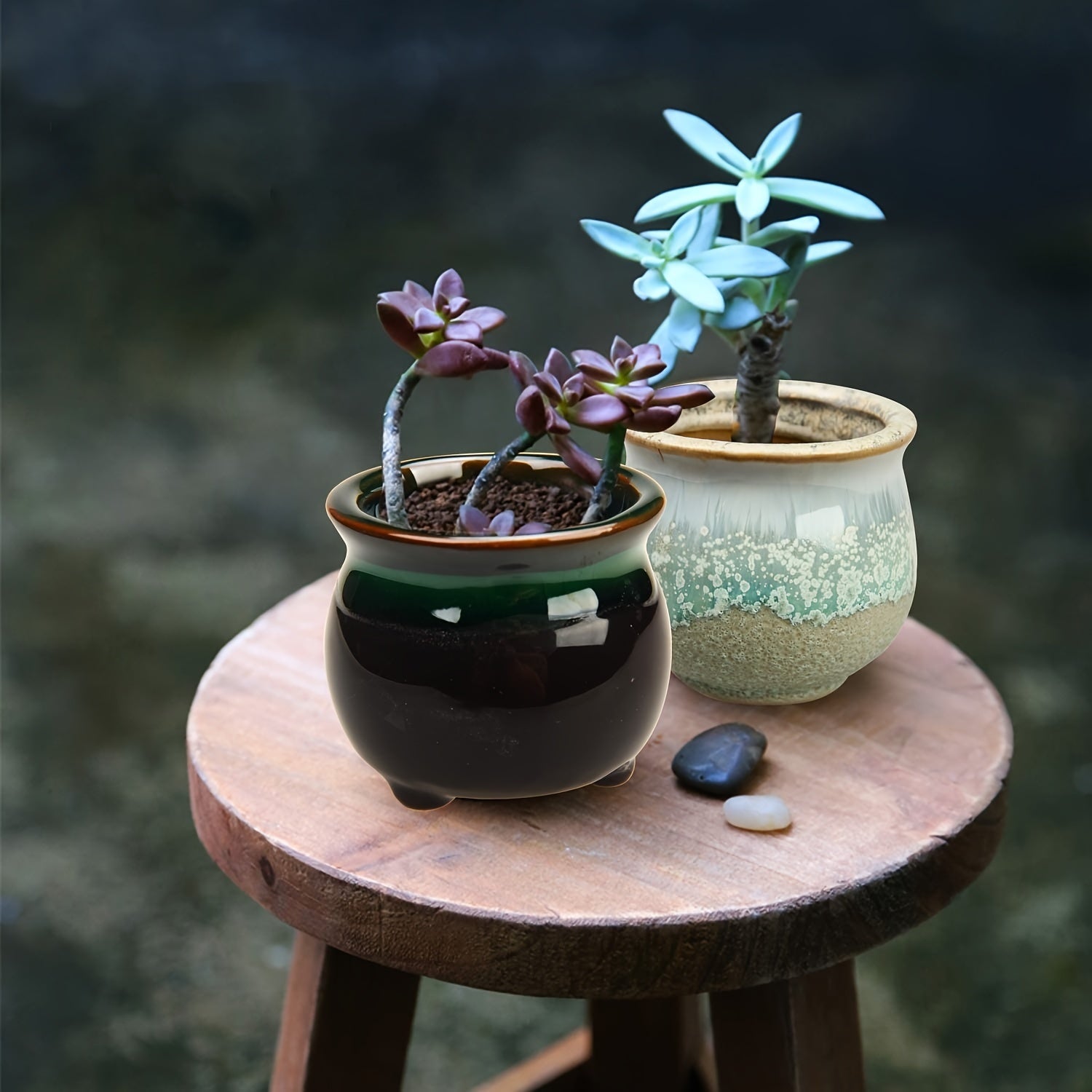 6pcs 2.5 Inch Ceramic Succulent Planter Pot With Drainage