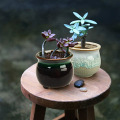 6pcs 2.5 Inch Ceramic Succulent Planter Pot With Drainage