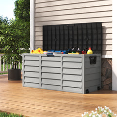 img_5585972