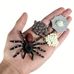 Spider Educational Simulation Models for Halloween Pranks
