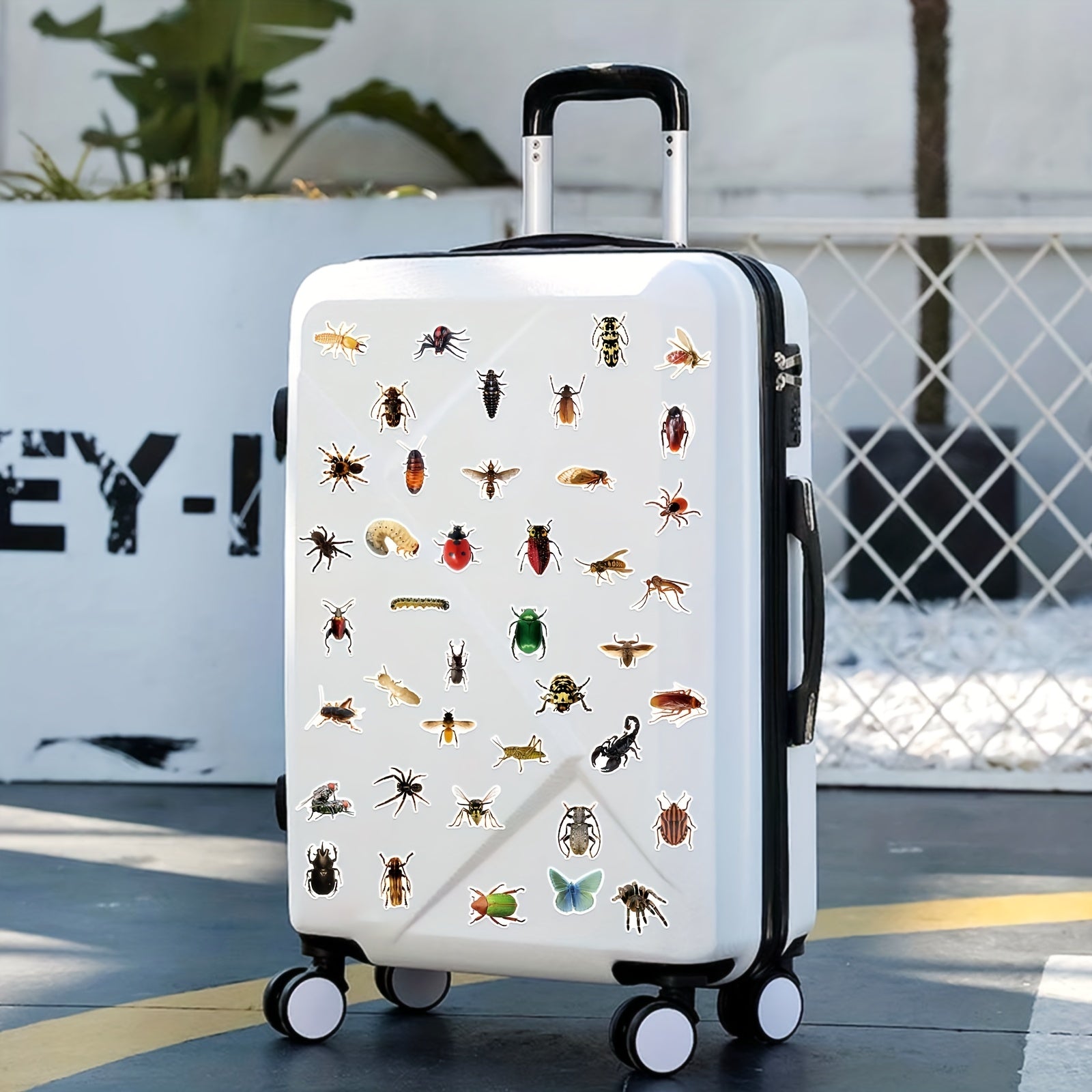 50pcs Insect Vinyl Stickers Waterproof Pack for Water Bottle Laptop Phone