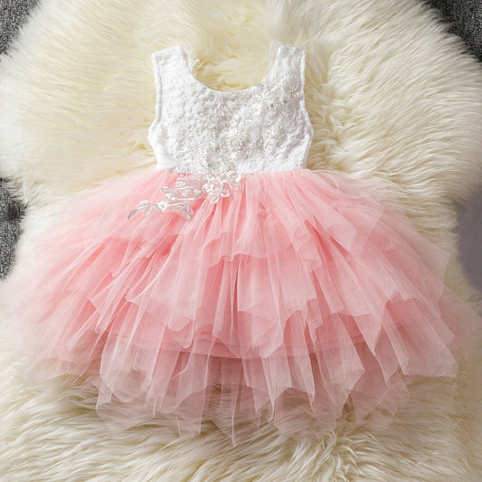 Girl's Lace Embroidered Princess Dress