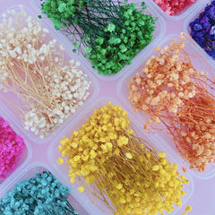 Dried Flower Bouquet Set - Real Naturally Dried Flowers for DIY Crafts