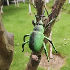 Insect Model Toy for Early Education