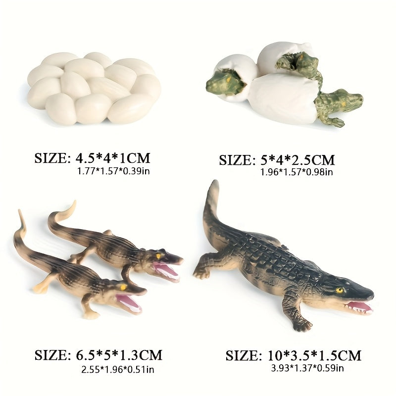 Handcrafted Crocodile Life Cycle Toy Set