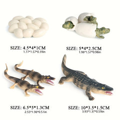 Handcrafted Crocodile Life Cycle Toy Set
