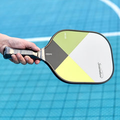 PR100 Pickleball Paddle Set 2 Rackets 4 Balls Bag