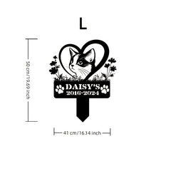 img_6511581
