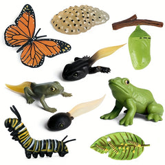 9pcs Life Cycle Figurines Toy Set Butterflies Frogs Educational School Project