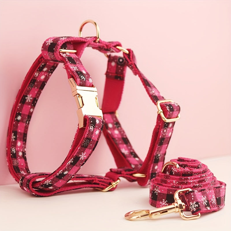 img_4103992