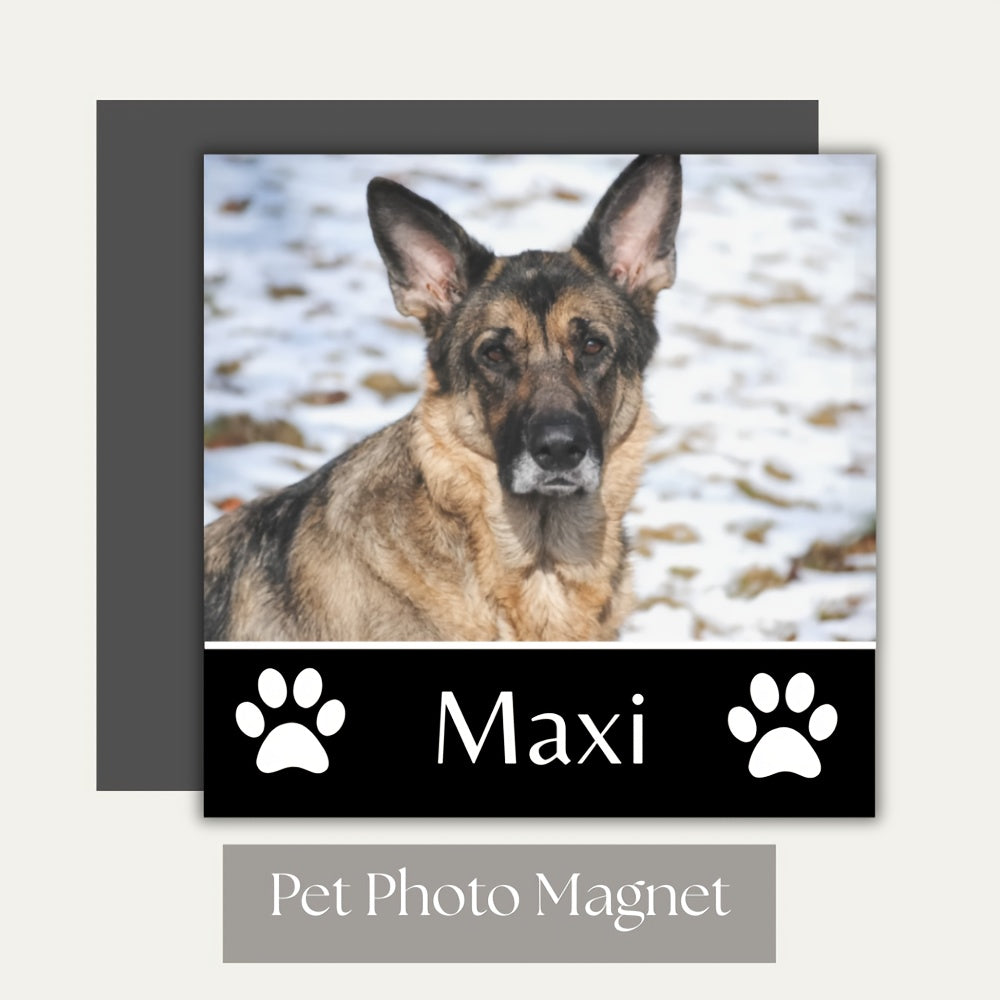 img_6606328
