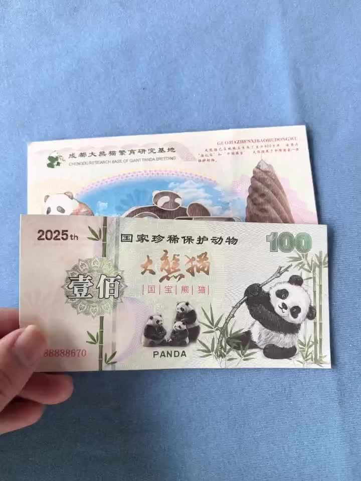 Giant Panda Collectible Banknotes Set