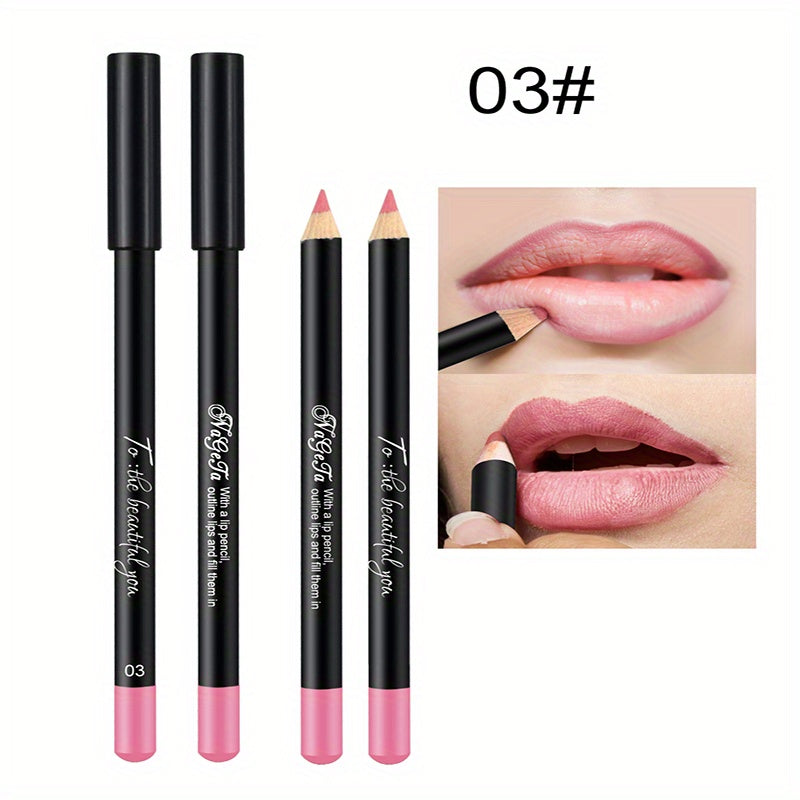 Matte Lip Liner Rich Rendering Waterproof Lip Gloss Pen