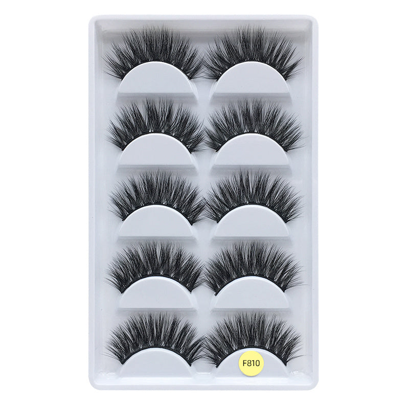 Z'LRAQI BEAUTY 5 pairs Faux Mink False Eyelashes Long Natural and Stylish