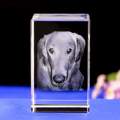img_6543695