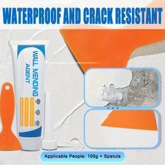 Wall Mending Agent 100g Paint Valid Mouldproof Quick Drying Patch Restore