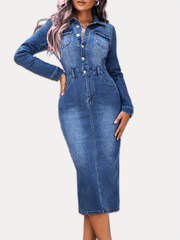 Long Sleeves Denim Dress Slim Fit Single Breasted Button Split Denim Dress