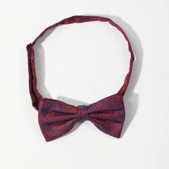 Men's Thin Striped Bow Tie