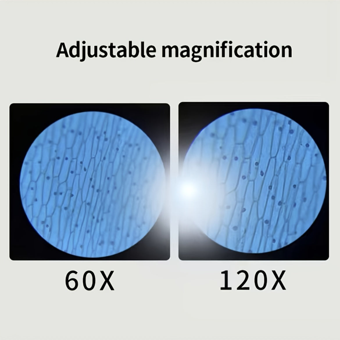 Kids Portable Handheld Pocket Microscope Toy LED Light 60X 120X
