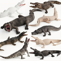 Crocodile Model Set for Enthusiasts