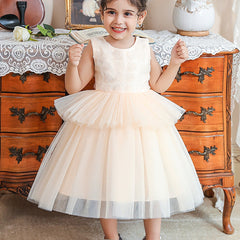 Little Girl Princess Dress