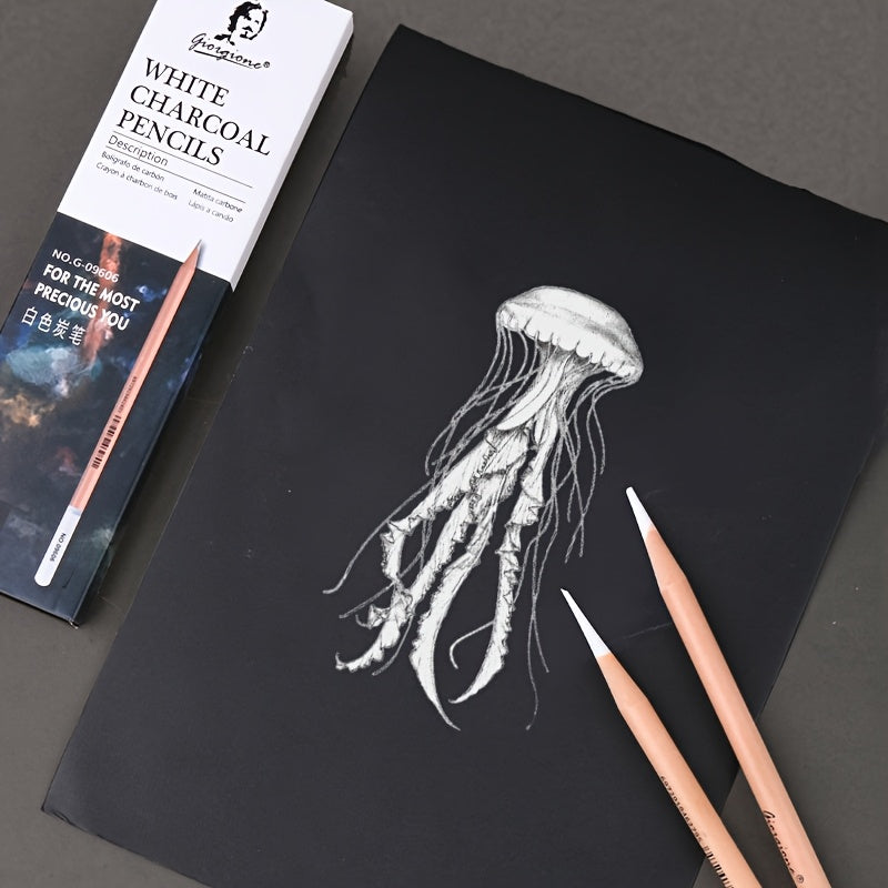 12 Charcoal Pencils Set Professional Drawing Sketch Shading Art Pencils