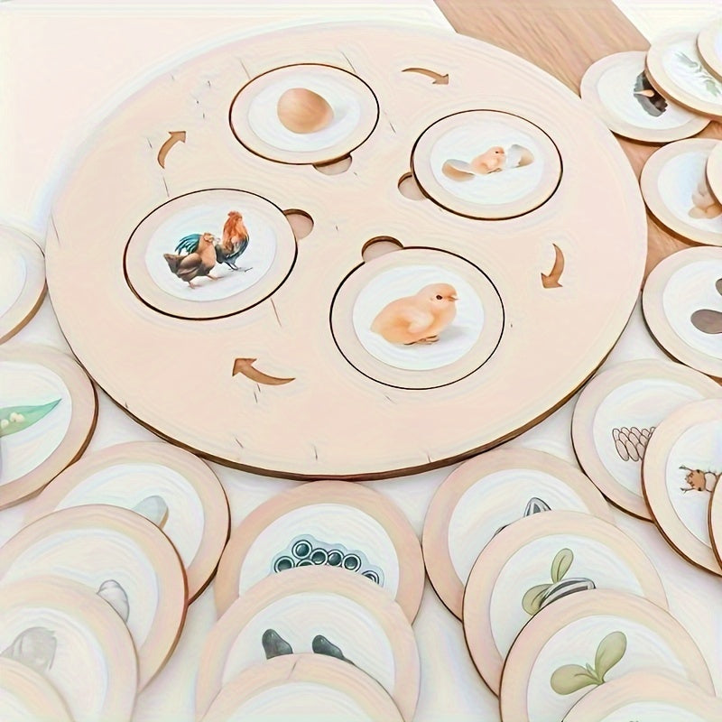 Wooden Life Cycle Board Game Educational Science Toy
