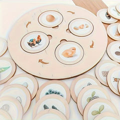 Wooden Life Cycle Board Game Educational Science Toy