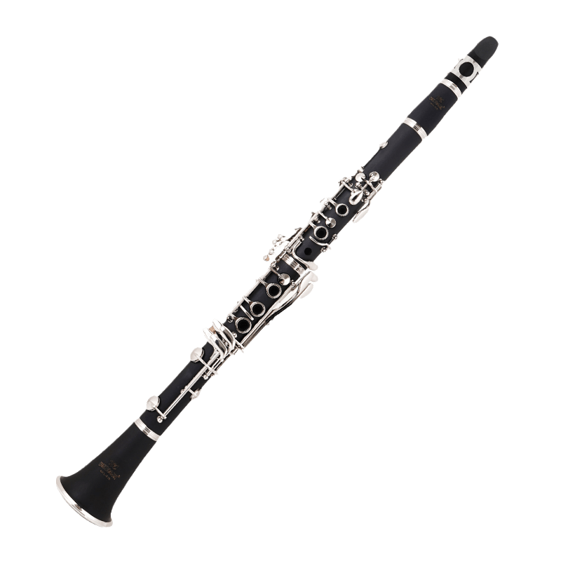 Salman B Key Beginners Clarinet Special Performance