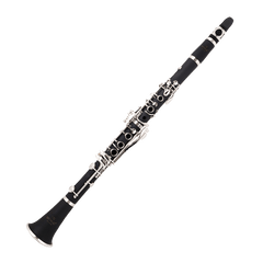 Salman B Key Beginners Clarinet Special Performance