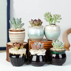 6pcs 2.5 Inch Ceramic Succulent Planter Pot With Drainage