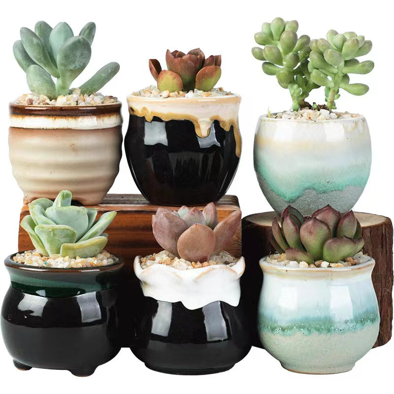 6pcs 2.5 Inch Ceramic Succulent Planter Pot With Drainage