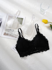 2pcs Lace Wireless Bras Scalloped Trim Intimates Bra Women's Lingerie