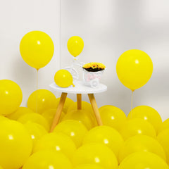 10pcs 10 Inch Matte Bright Latex Balloons Party Supplies