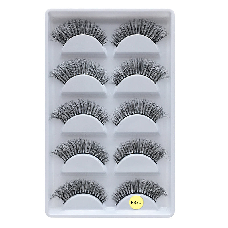 Z'LRAQI BEAUTY 5 pairs Faux Mink False Eyelashes Long Natural and Stylish