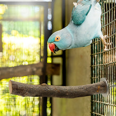 img_7388738