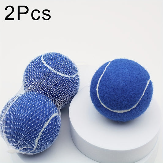 2pcs High Elastic Rubber Tennis Balls for Beginners Practice Outdoor Sports