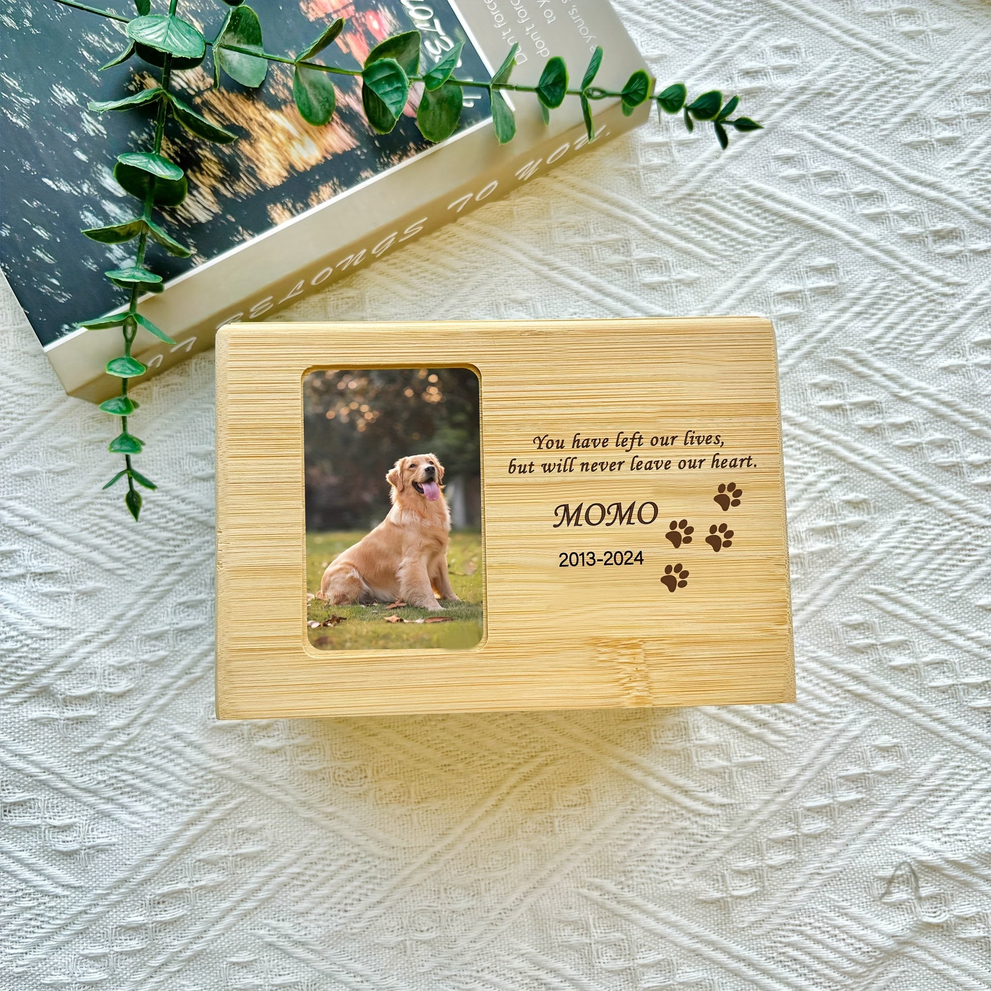 img_5208363