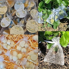 50pcs Organza Gift Bags Transparent Mesh Bags for Jewelry Cosmetics Candy