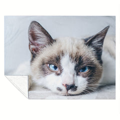 Creative Cat Blanket Fluffy Flannel Soft Lightweight Blanket for Sofa Bed Couch
