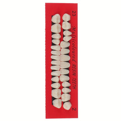 28pcs Dental Practice Tooth Mold Set Student Oral Material Model
