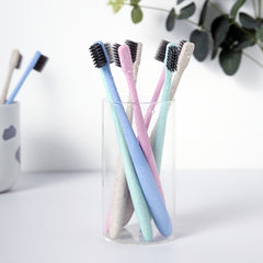 Portable Bamboo Charcoal Soft Toothbrush for Travel & Home