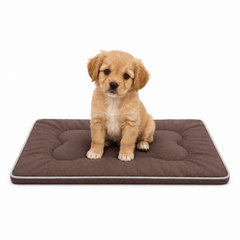 img_7390634