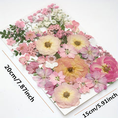 48pcs Pink Dried Pressed Flower Leaf Plant Resin Mold Jewelry Making