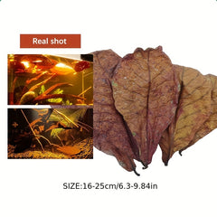 10pcs Terminalia Catappa Leaves for Aquarium Fish Tank Water Conditioner