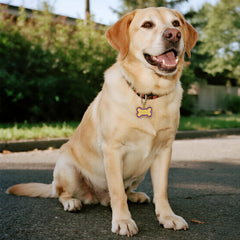 img_7360989
